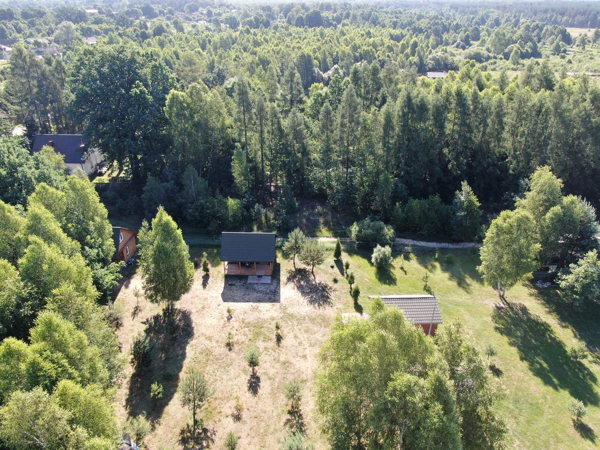 Domki otoczone lasem